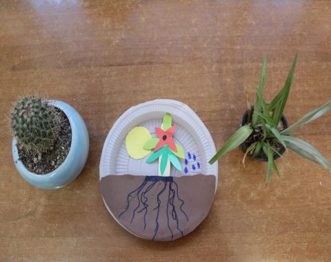 نوآموزان کلاس خانم براتی با انواع گیاهان آشنا شدند.