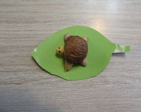 پسران کلاس خانم پاکروان در زنگ خلاقیت لاکپشت درست کردند .